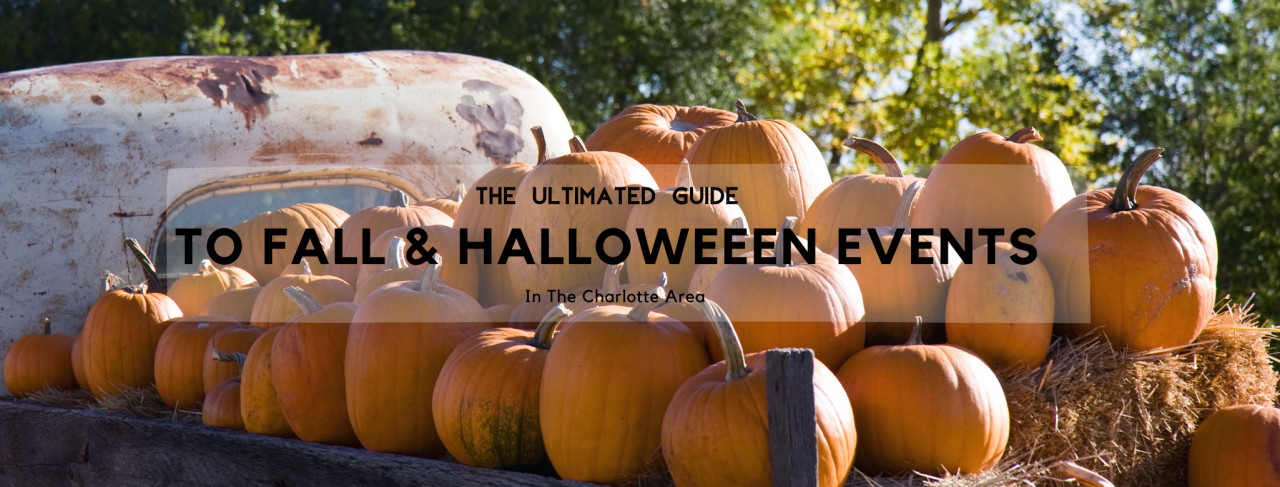 Halloween and Fall Family Fun in Charlotte: A Family Guide