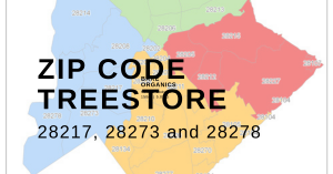 Zip Code TreeSTore (1).png