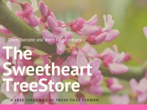 sweetheart trees (1).jpg