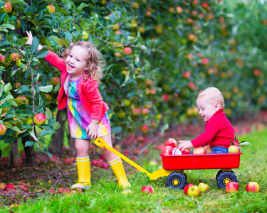 Kids Charlotte: Apple U-Pick Farms - Fun 4 Charlotte Kids