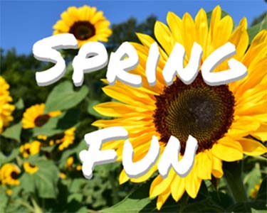 Kids Charlotte: Spring Fun - Fun 4 Charlotte Kids