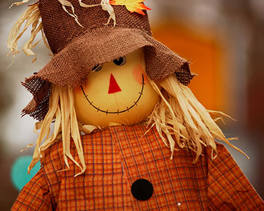Kids Charlotte: Halloween and Fall Displays - Fun 4 Charlotte Kids