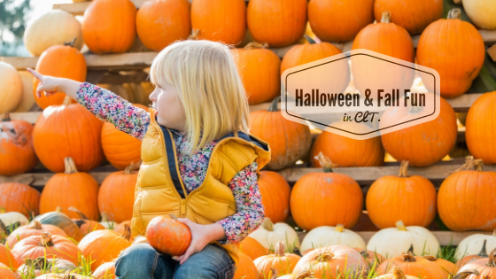 Halloween and Fall Family Fun in Charlotte: A Family Guide