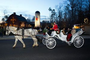 Carriage rides at Christmas at the Library