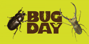 Bug Day.png