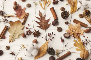 Fall Crafternoon.png