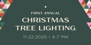 Cotswold Village Tree Lighting.jpg