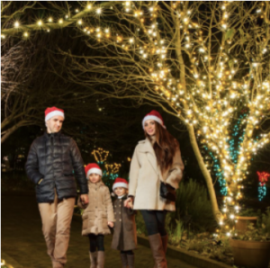 Screenshot 2025-11-19 at 7.59.27 AM.png