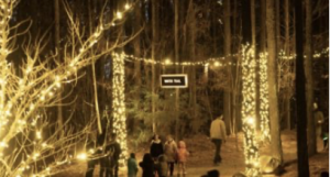 Screenshot 2025-11-19 at 8.28.31 AM.png