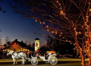 Screenshot 2025-12-02 110017.png