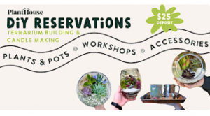 Screenshot 2026-01-08 144908.png