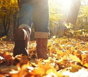 Nature Nerds Walk and Talk.jpg