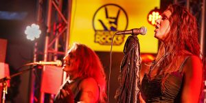 Inclusion Rocks Music Festival.jpeg