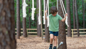 Screenshot 2026-03-03 100125.png