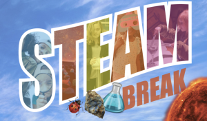 STEAM Break