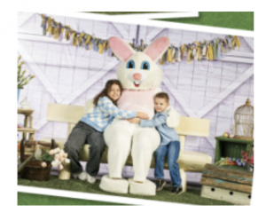 Screenshot 2026-03-23 at 11.28.51 AM.png