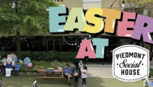 Screenshot 2026-03-23 at 11.47.18 AM.png