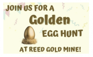 Screenshot 2026-03-23 at 11.58.31 AM.png