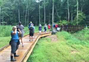 Birding at Stevens Creek 4.jpg