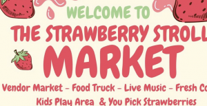 Screenshot 2026-04-01 at 12.58.38 PM.png