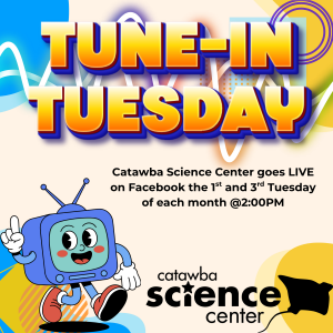 Copy of Tune-In Tuesday.png