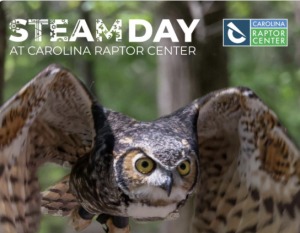 Screenshot 2026-04-11 at 10.40.19 AM.png