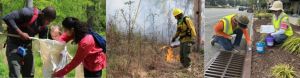 Careers in the Outdoors - Panel and Social.jpg