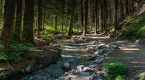 Trails Day - Science of the Trails Hike.png
