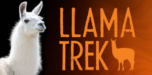 Llama Trek.png