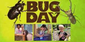 Bug Day