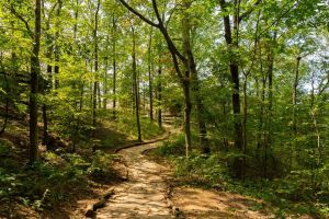 ASL Hike and Sign.jpg