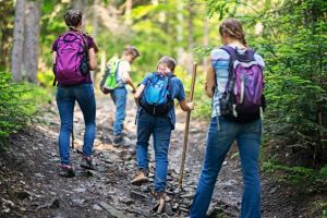 Autumn Arbor Family Hike.jpg
