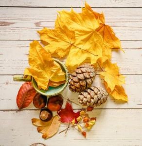 Fall Colors Crafternoon.jpg