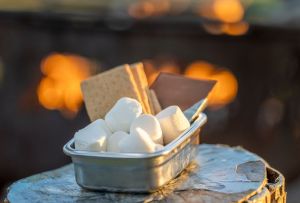 Friday Fire and S'mores.jpg
