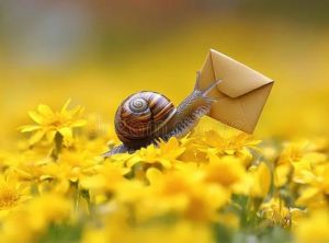 Snail Mail with the Snails.jpg