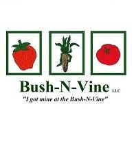 Strawberry Pick Your Own at Bush-N-Vine Farm