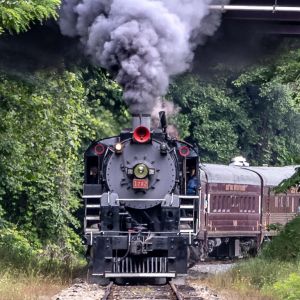 05/01 - 08/31 -  Kids Ride FREE at Great Smoky Mountains Railroad!