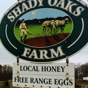 Shady Oaks Farm