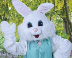 04/01 - 04/09  - Easter Bunny returning to Bass Pro Shops  for free picture