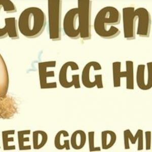 Golden Egg Hunt Reed at  Gold Mine State Historic Site