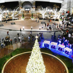 11/ 22-  Annual Tree Lighting Celebration at Piedmont Town Center