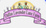 Dallas Lavander Lane