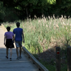 McMullen Creek Greenway