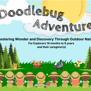 Doodlebug Adventures