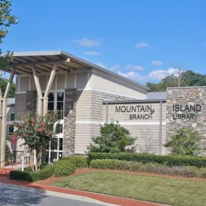 Mountain Island Library