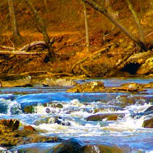 Durham - Eno River State Park