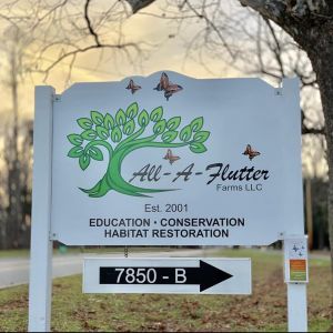 High Point - All-A-Flutter Farms LLC