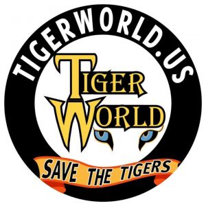Rockwell - Tiger World