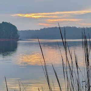 Falls Lake State Recreation Area