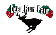Deer Run Farm of Midland Family Fall Festival